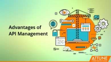 Advantages of API Management