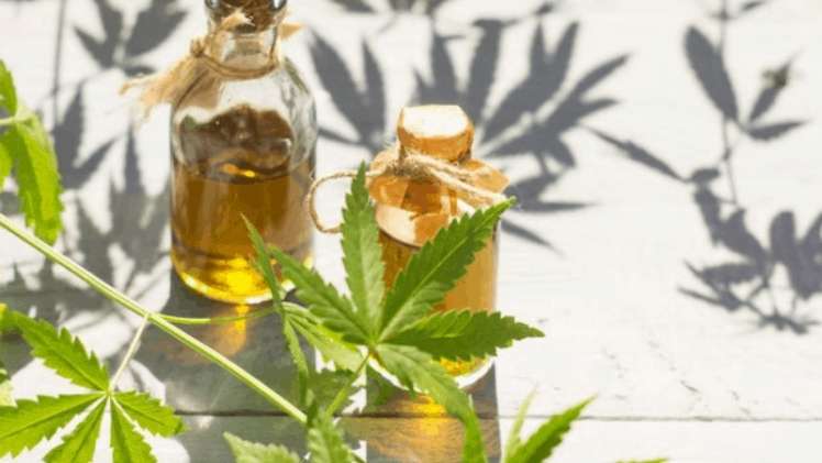 How to make CBD oil at home