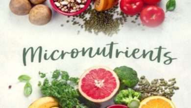 Why Are Mirco Nutrients Important for Our Body