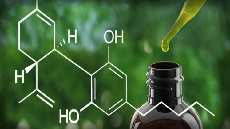 How Cbd Helps In Skincare