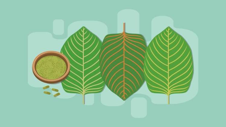 The Red Bali Kratom Strain A Complete Overview