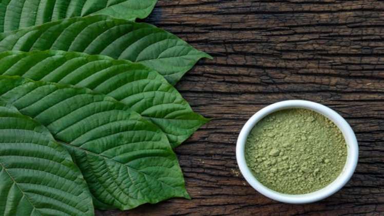 Well Known top 5 Kratom Vendors in the US