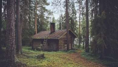 Incredible Benefits of Owning a Log Cabin