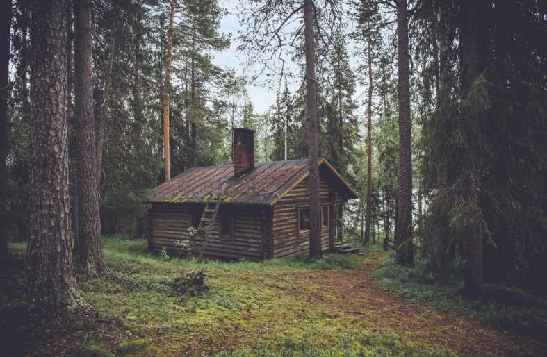 Incredible Benefits of Owning a Log Cabin