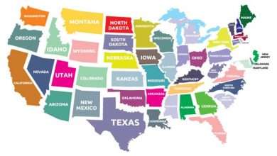 Start Your Business in USA Best States for LLCs