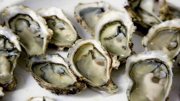 The Ultimate Wine and Oyster Food Pairing Guide