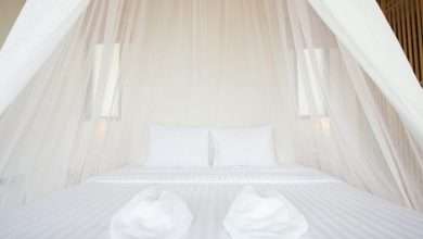 A Guide To Help You Buy The Best Mosquito Nets