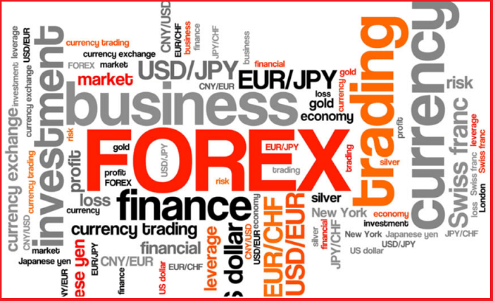Things You Need to Know Before Choosing a Forex Brokers