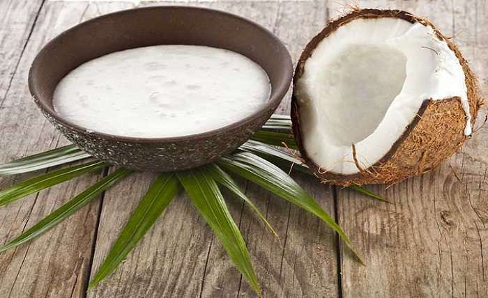 Coconut Milk Medium Chain Triglycerides in the Milk Aid in Weight Loss