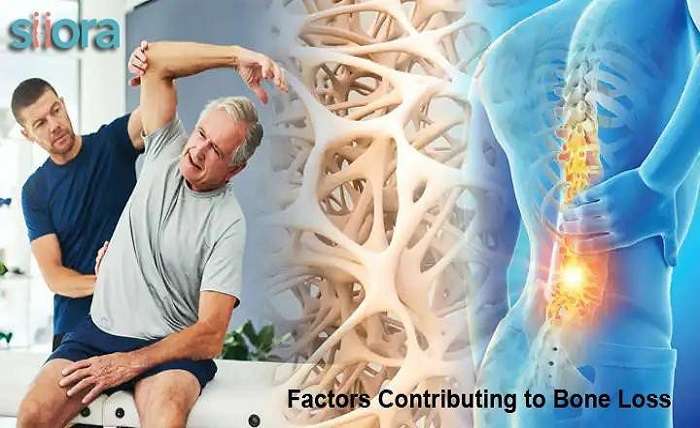 Factors Contributing to Bone Loss