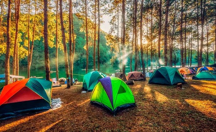 A Guide to Camping for Beginners
