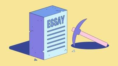 The Basic Structure of an Write my Essay