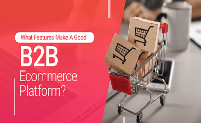 What Features Make A Good B2B Ecommerce Platform