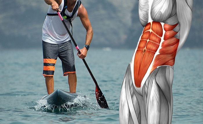Know About The Health Benefits Of Doing SUP