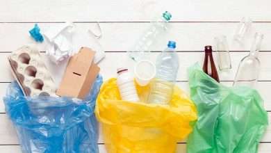 How Your Business Can Reduce Its Reliance on Single Use Plastics