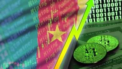 How can Cameroon be a suitable destination for profitable Bitcoin Activities