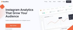10 Best Instagram Analytics Tools to Track Your Success9