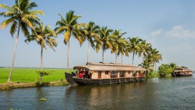 An Overview to kerala family tour packages