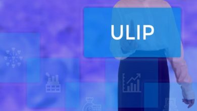 Why ULIPs Are A Secure Long Term Investment