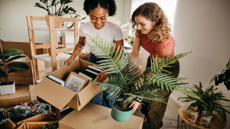Affordable and stress free short distance moving in the US