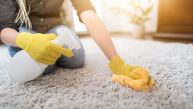 Finding the Best Rug Cleaners in To